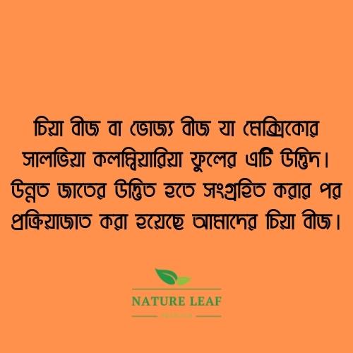 Picture of Nature Leaf - Chia Seed - 100g (Chia Beej)