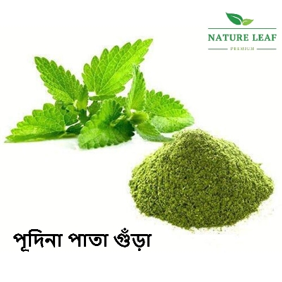 Picture of Nature Leaf Pudina Pata Gura 100gm+ Mehedi Pata Gura 100gm+ Sajne Pata Gura 100gm - Total 300gm Savings Combo Pack