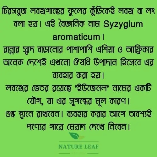 Picture of Nature Leaf - Clove Whole - 100g Jar (Lobonggo)