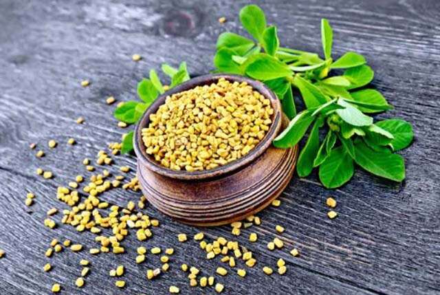 Picture of Nature Leaf - Methi / Fenugreek Whole - 200g Pack