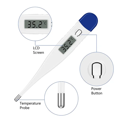 Picture of Digital Thermometer (Can Read Fahrenheit)
