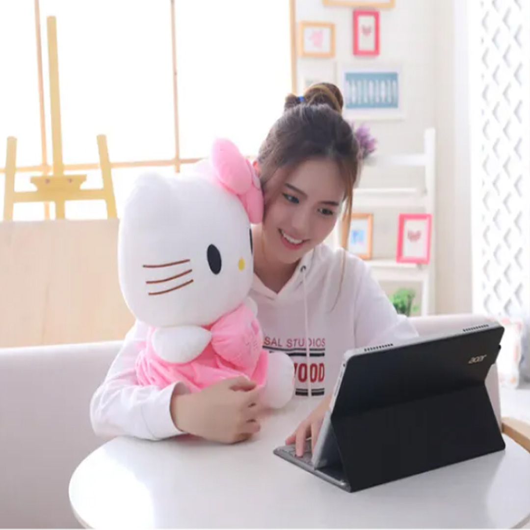 Picture of China Hello Kitty Doll Big Size And Small Size Collection