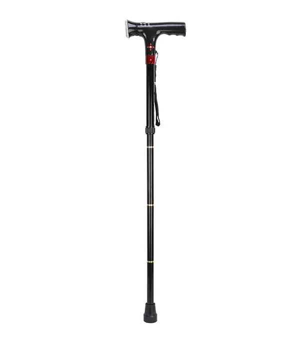 Picture of VISION Digital Walking Stick 4 In 1-FM