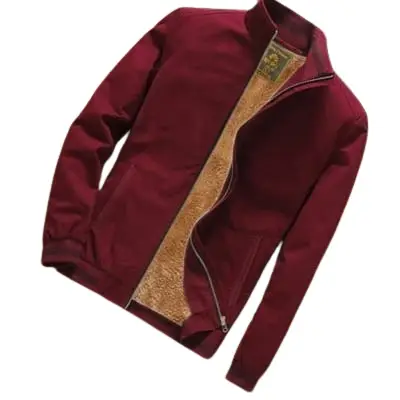 Picture of Exclusive Winter Jacket For Men 