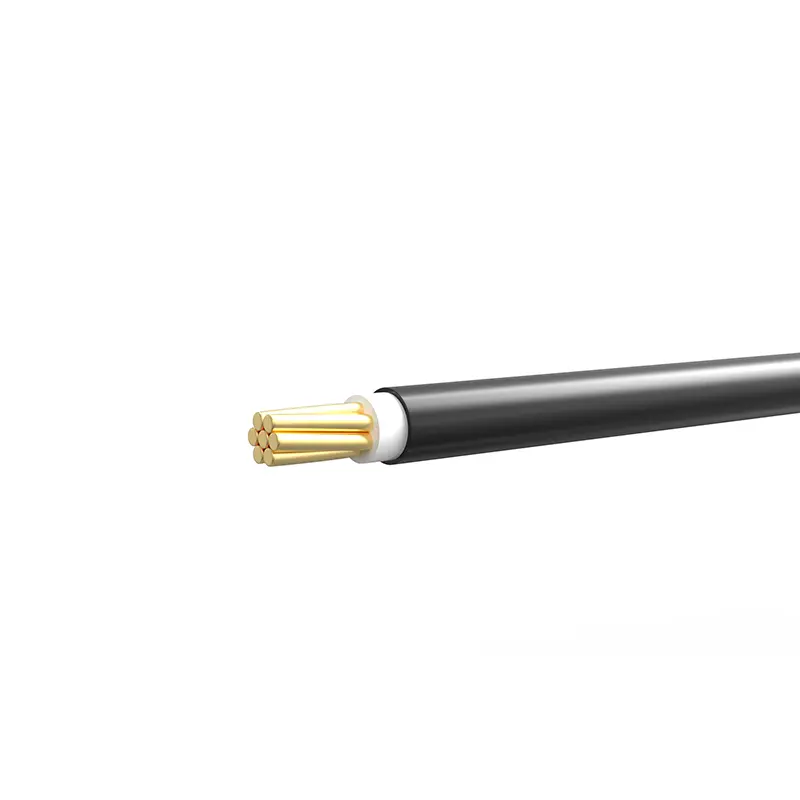 Buy Bizli Cable BYA-FR (7.0 rm) Black Online at Best Price