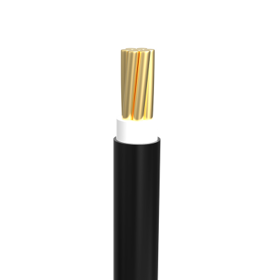 Buy Bizli Cable BYA-FR (4.0 rm) Black Online at Best Price