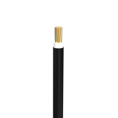 Buy Bizli Cable BYA-FR (6.0 rm) Black Online at Best Price
