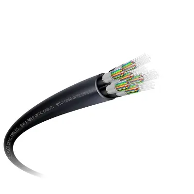 Buy Bizli 2 Fiber Optical Cable Online at Best Price	