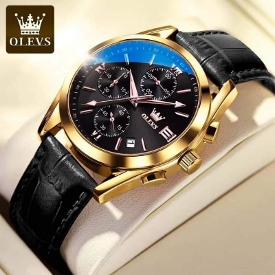 Picture of OLEVS 2876 Men’s Quartz Watch