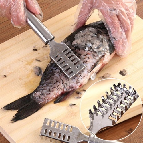 Picture of Fish Scale Scraper