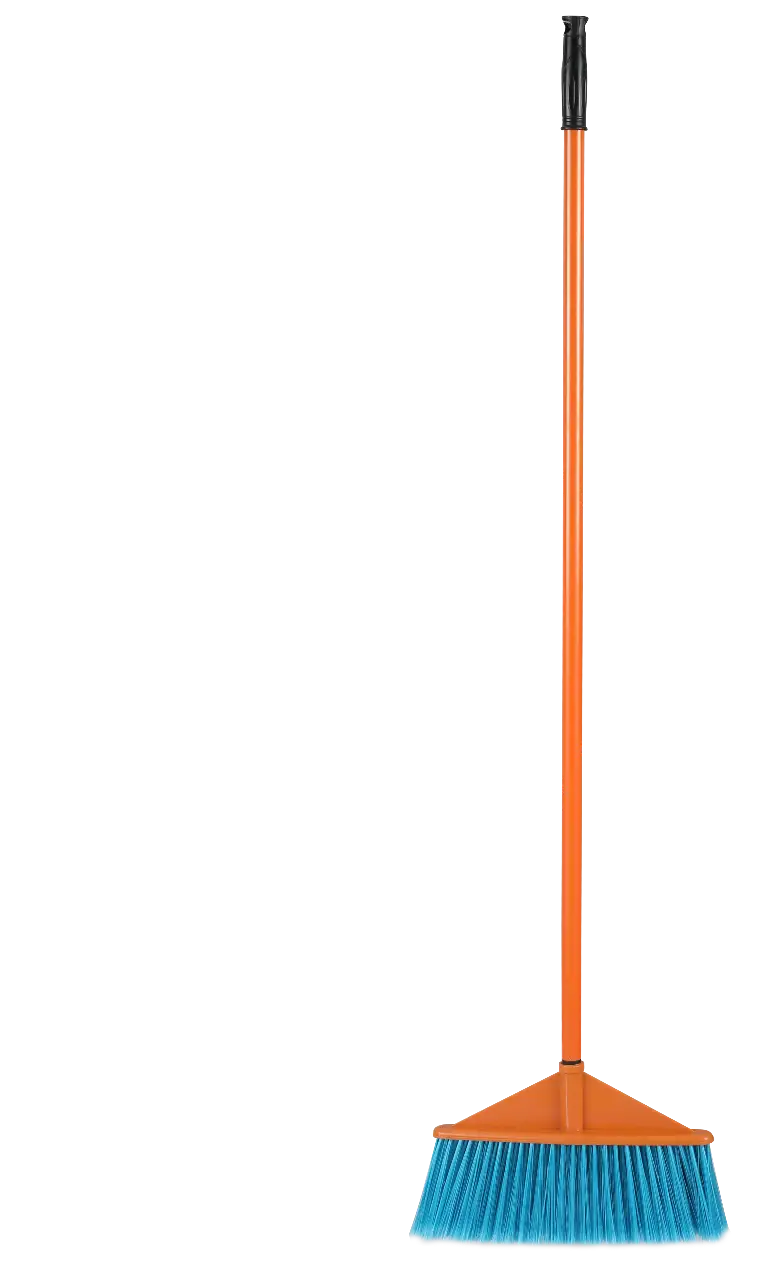 Picture of Fancy Broom Brush