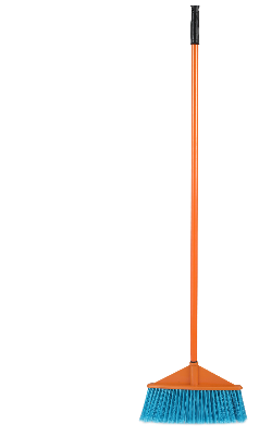 Picture of Fancy Broom Brush