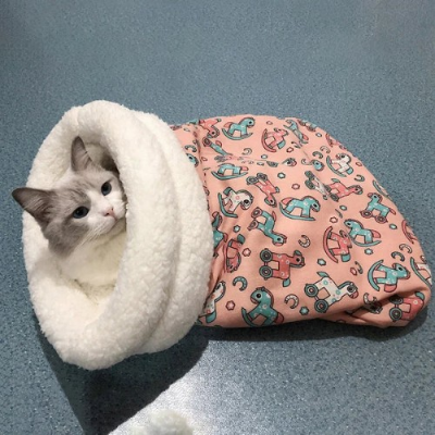 Picture of Cat sleeping bag