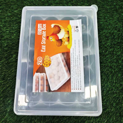 Picture of 20 Grid Egg Box