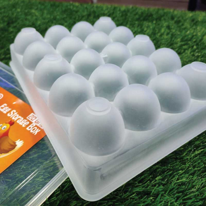Picture of 20 Grid Egg Box