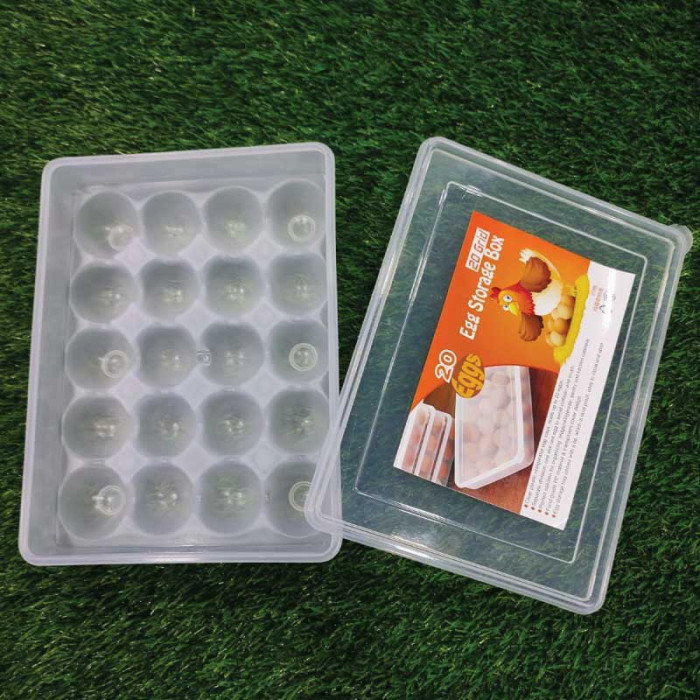 Picture of 20 Grid Egg Box