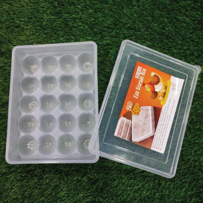 Picture of 20 Grid Egg Box