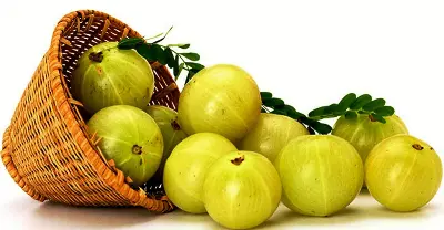 Picture of Amloki (Amla)/Kg
