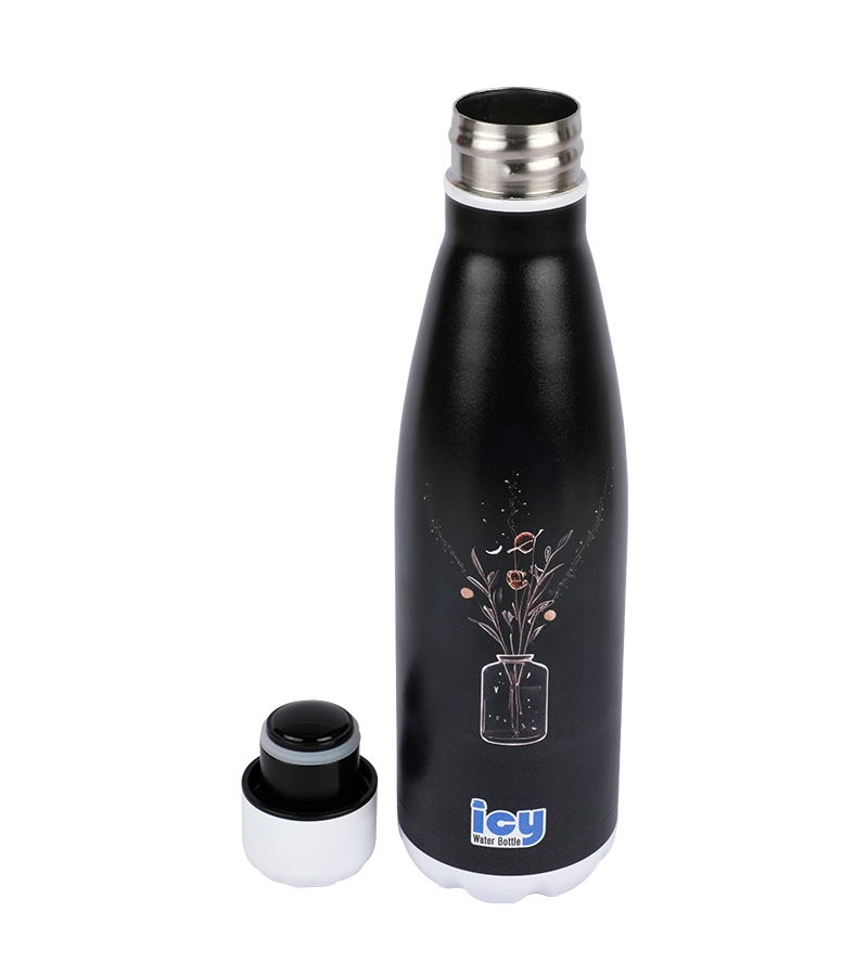 Buy Hot & Cold Stylish SS Cola Water Bottle 450 ML Moonlit Garden at Best Price In Bangladesh