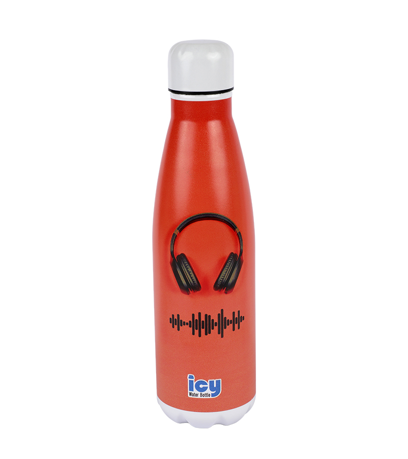 Buy Hot & Cold Stylish SS Cola Water Bottle 450 ML Groove On at Best Price In Bangladesh