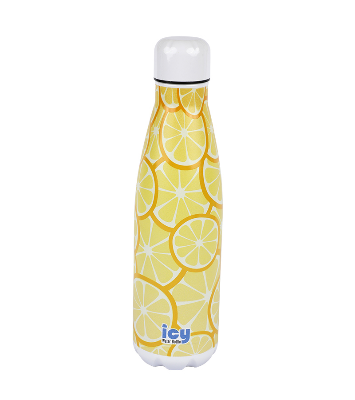 Buy Hot & Cold Stylish SS Cola Water Bottle 450 ML Sunny Slices at Best Price In Bangladesh