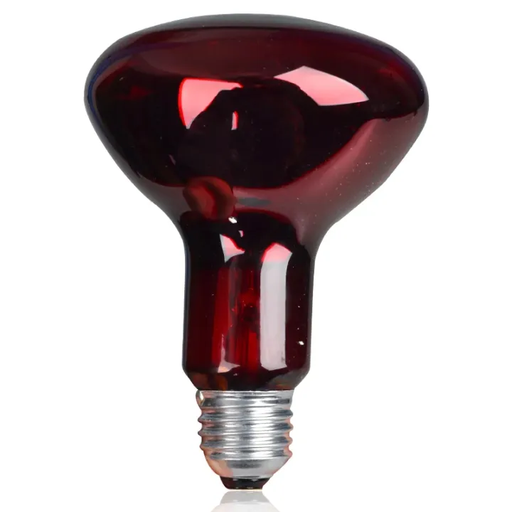 Buy  Philips Infrared Physiotherapy Bulb Heat Therapy Lamp IR RED E27 PAR38 R95 100W  Best price in Bangladesh