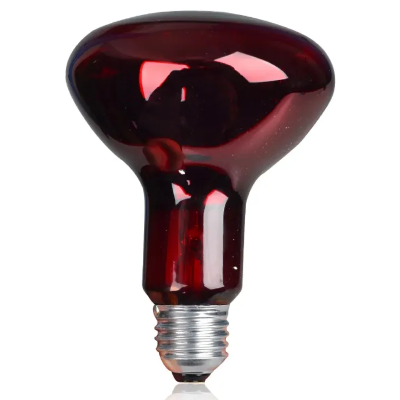 Buy  Philips Infrared Physiotherapy Bulb Heat Therapy Lamp IR RED E27 PAR38 R95 100W  Best price in Bangladesh