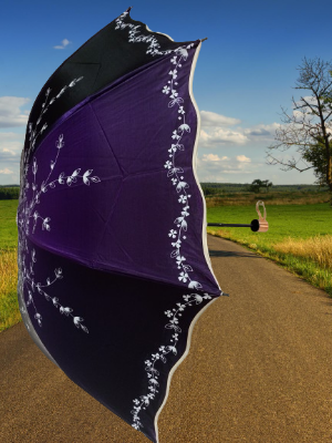 Buy Ladies Fashionable & Elegant Anti UV Sunshade Print Border Lace Umbrella Multicolor at Best Price In Bangladesh