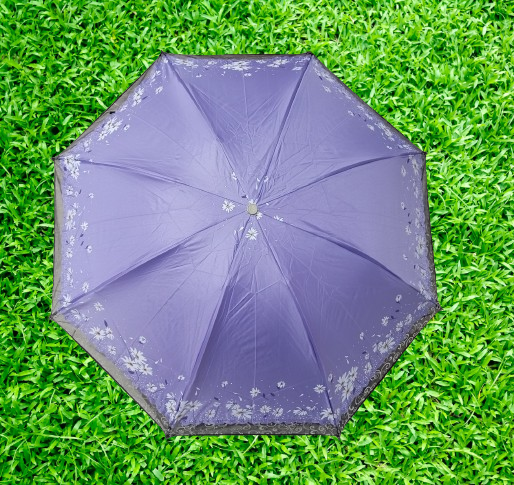 Buy Ladies Fashionable & Elegant Anti UV Sunshade Print Border Lace Umbrella Multicolor at Best Price In Bangladesh