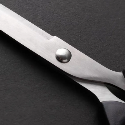 Picture of Scissor of Stainless Steel 8" inch 