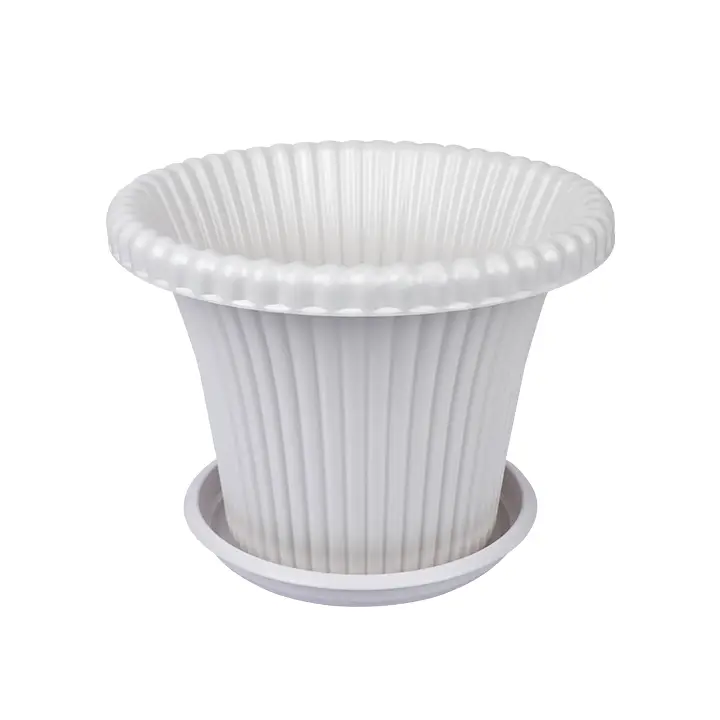 Buy Daisy Flower Tub with Tray 8" White-TEL for Gardening in balcony, roof or indoor space for adding a touch of greenery to your home or office at Best Price In Bangladesh	
