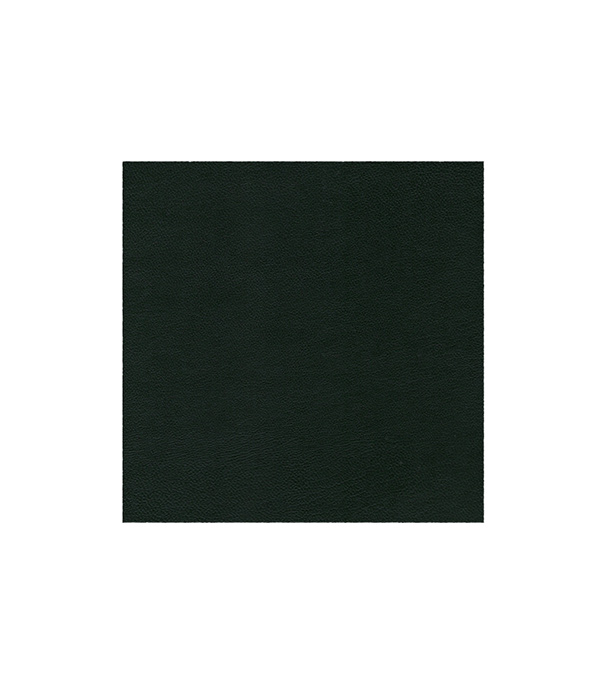 Buy R CNG Leather Single TC 0.90mm at Best Price In Bangladesh