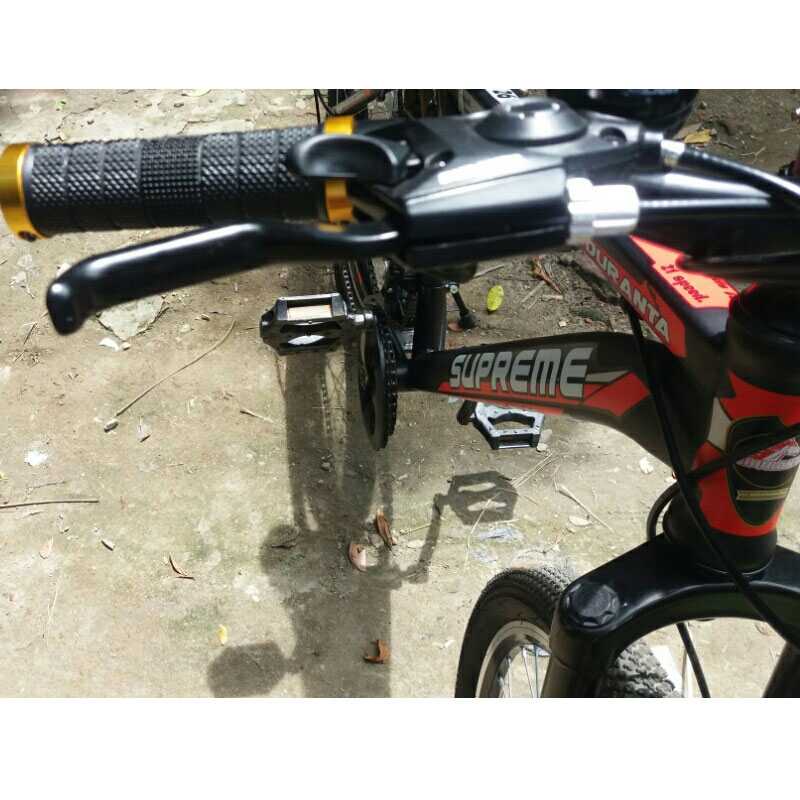 Picture of Duranta Steel 21-Spd Supreme 24 Red