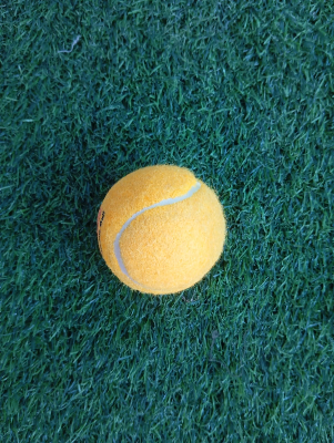 Picture of TENNIS BALL BOOM LAST DRNT-LOC