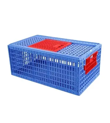 Picture of RFL Chicken Case Big SM Blue