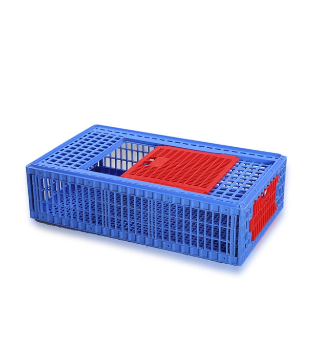Buy Chicken Case Small SM Blue Online