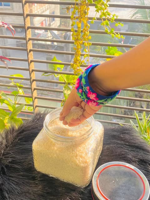 Buy বিস্কুট ও চানাচুর সংরক্ষণের কাচের বৈয়ম   at Best Price In Bangladesh