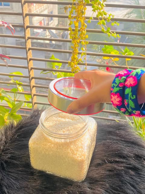 Buy বিস্কুট ও চানাচুর সংরক্ষণের কাচের বৈয়ম   at Best Price In Bangladesh