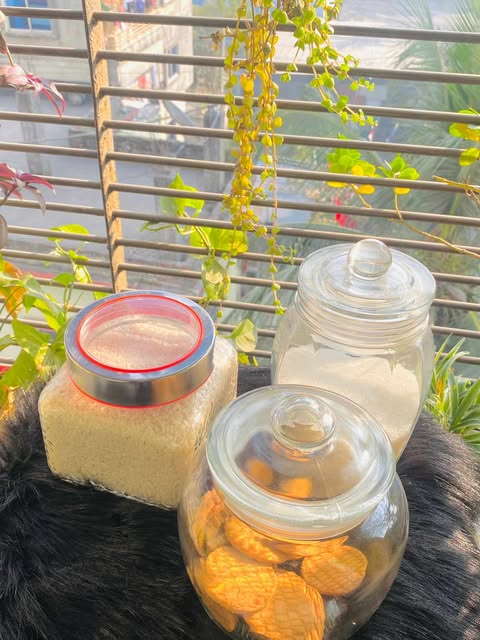 Buy  বিস্কুট ও চানাচুর সংরক্ষণের কাচের বৈয়ম ৩ পিছ কম্বো   at Best Price In Bangladesh