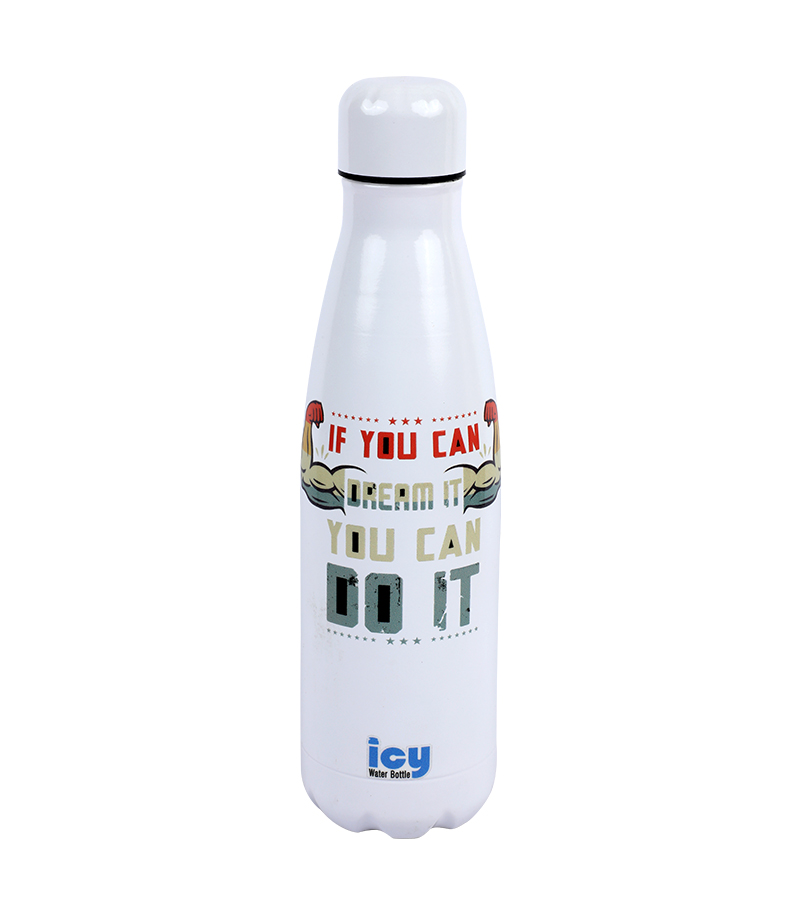 Buy Hot & Cold Stylish SS Cola Water Bottle 450 ML at Best Price In Bangladesh