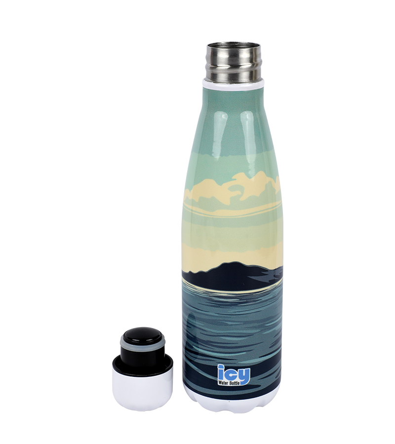 Buy Hot & Cold Stylish SS Cola Water Bottle 450 ML at Best Price In Bangladesh