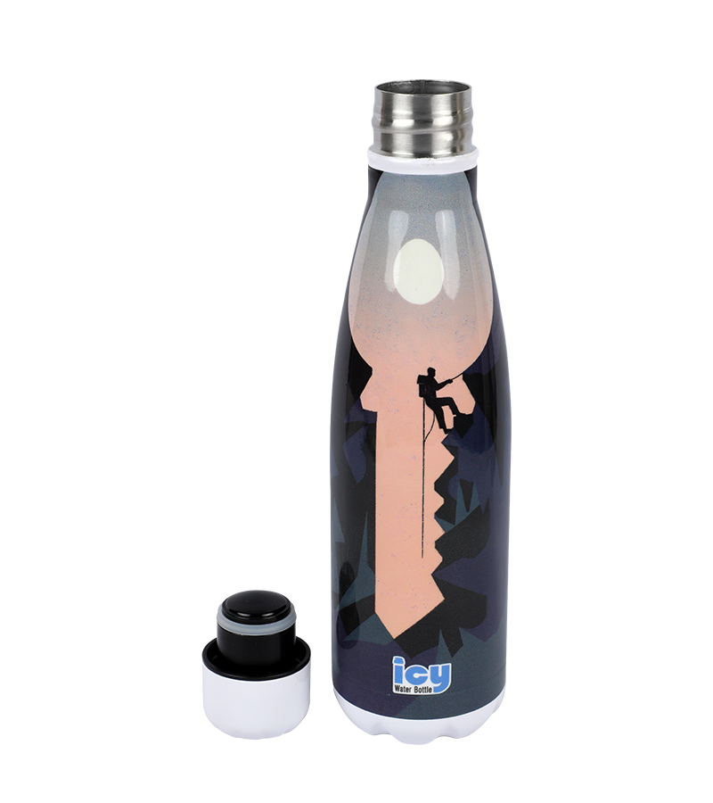 Buy Hot & Cold Stylish SS Cola Water Bottle 450 ML at Best Price In Bangladesh