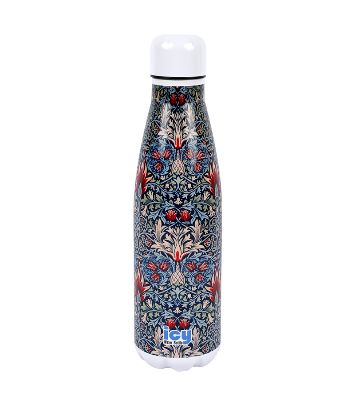 Buy Hot & Cold Stylish SS Cola Water Bottle 450 ML at Best Price In Bangladesh