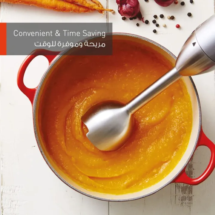 Buy Panasonic 600W Hand Blender (MX-GS1) Online at Best Price