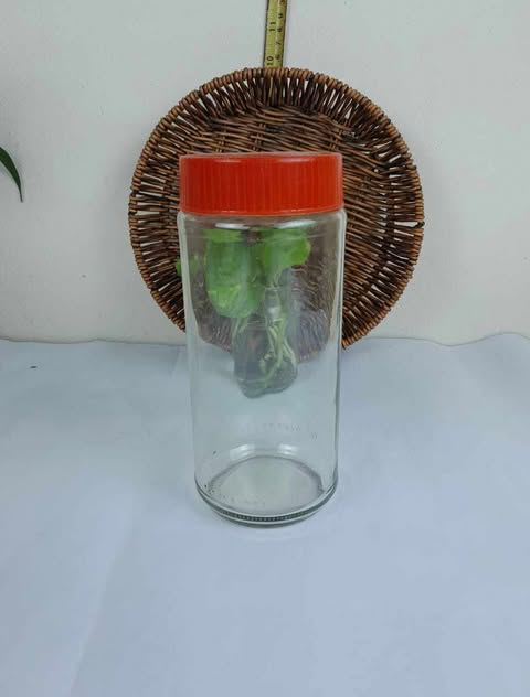 Buy 1000 ML Ovaltine Glass Jar at Best Price In Bangladesh