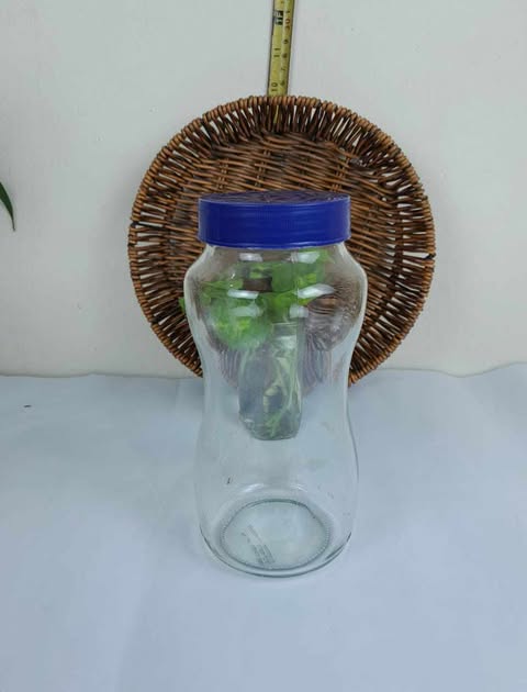 Buy 1000 ml glass Jar  at Best Price In Bangladesh