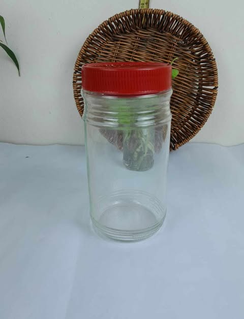 Buy 1000 ml glass Jar  at Best Price In Bangladesh
