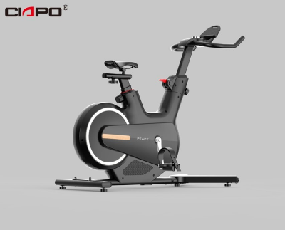Buy CIAPO Exercise Bike with Magnetic Resistance Model: CP-907 Online in Bangladesh at Best Prices
