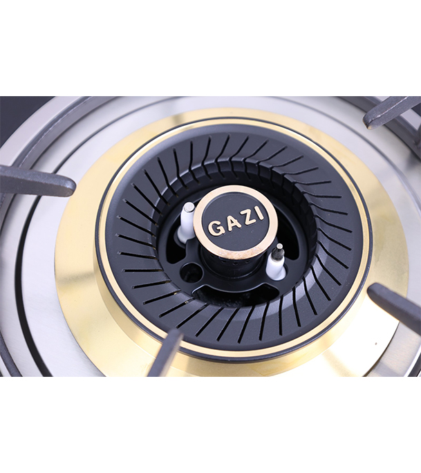BuyGazi Smiss Gas Stove - High Quality Tempered Glass - TG - 202 Online at Best Price	