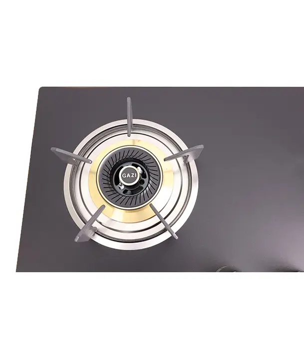 BuyGazi Smiss Gas Stove - High Quality Tempered Glass - TG - 202 Online at Best Price	